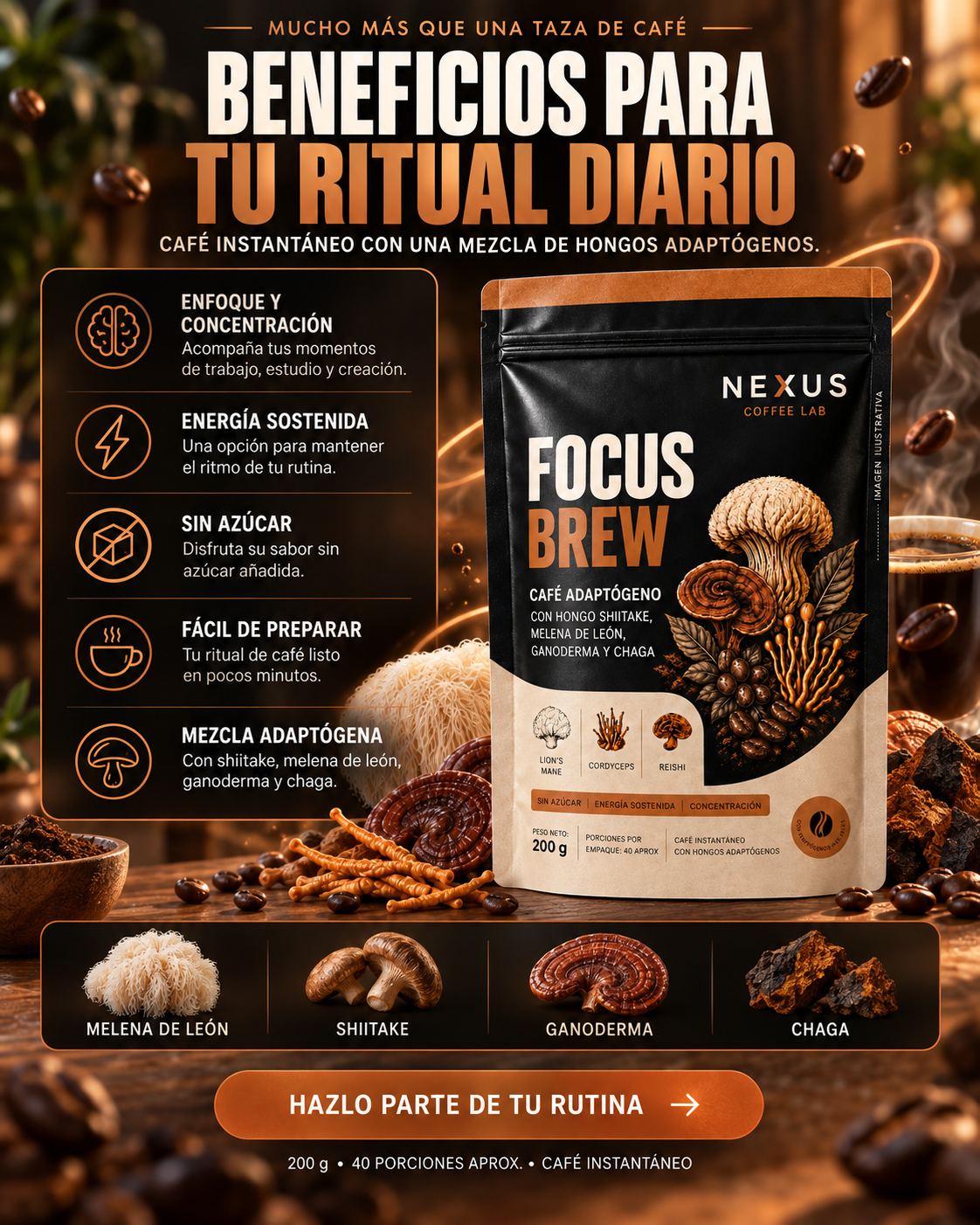 Información de Focus Brew