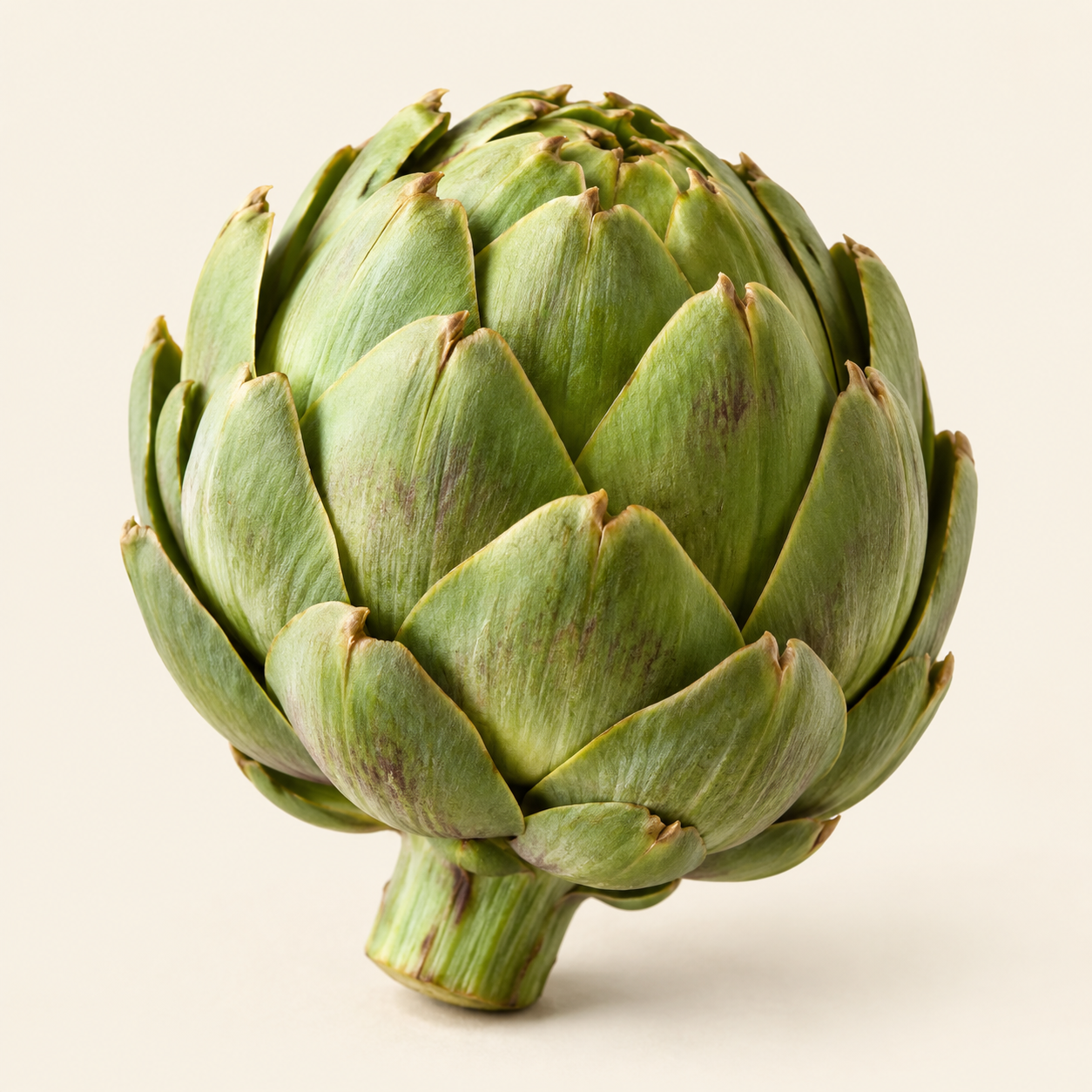 Alcachofa